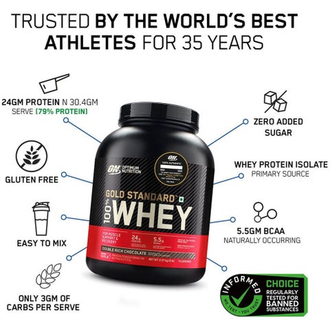 Optimum Nutrition Gold Standard 100% Whey Vanila Ice Cream Protein Powder 1lb