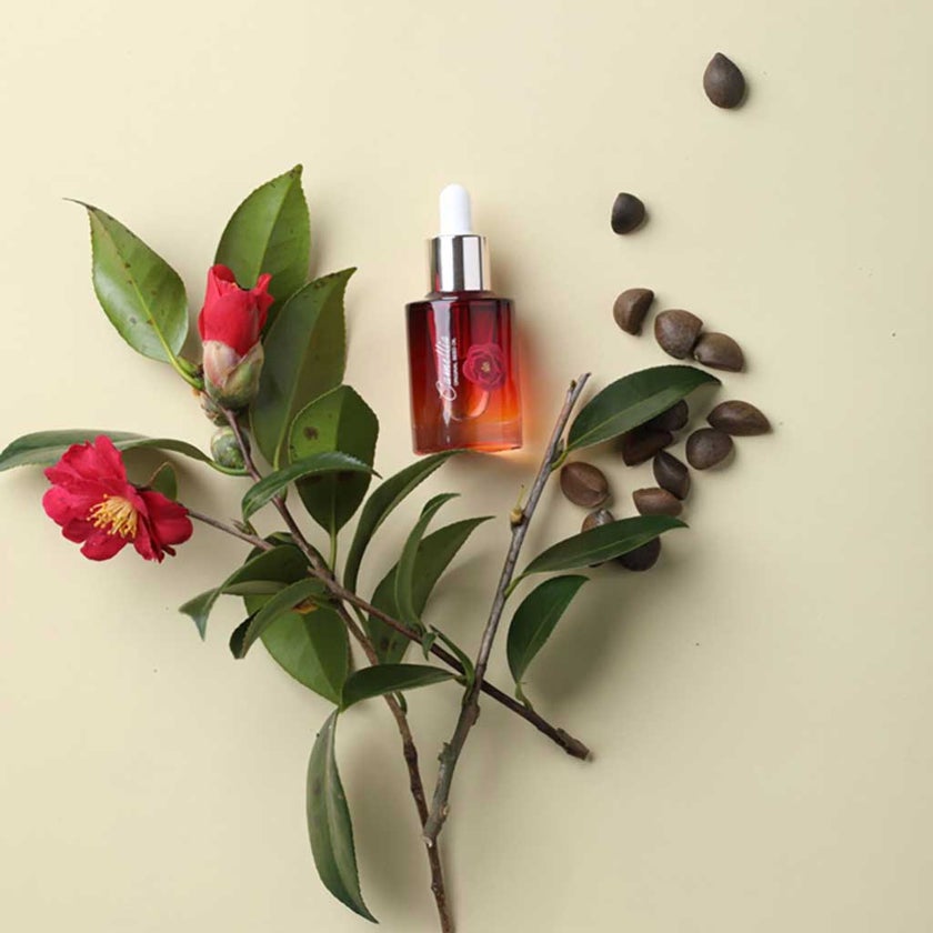 Jejuindi Camellia Original Seed Face Oil 30ml