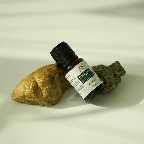 زيت أيوزن بالأوكالبتوس العطري العضوي ، 10 مل