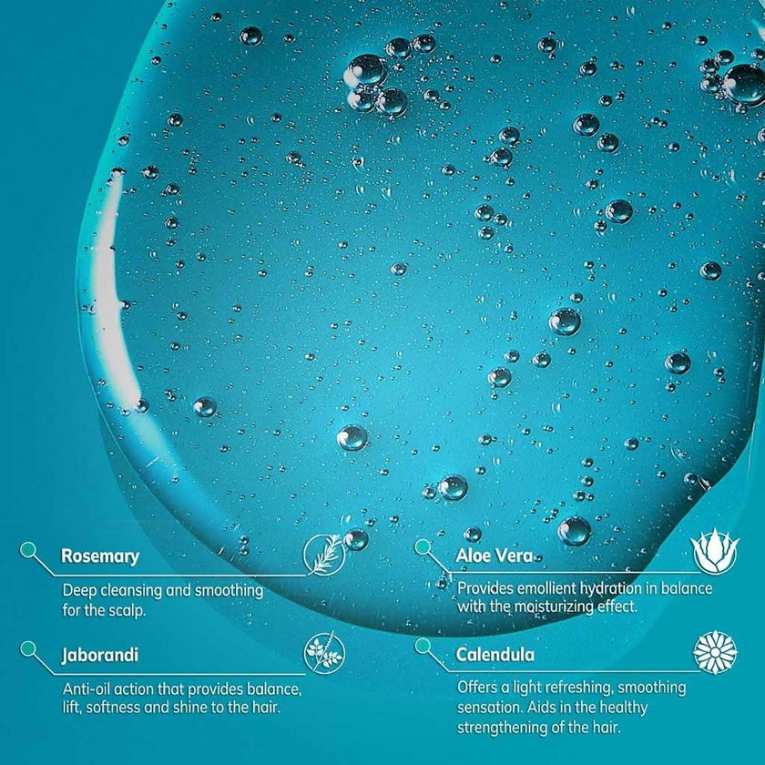 Alfaparf Alta Moda Detox Purify Shampoo 300ml