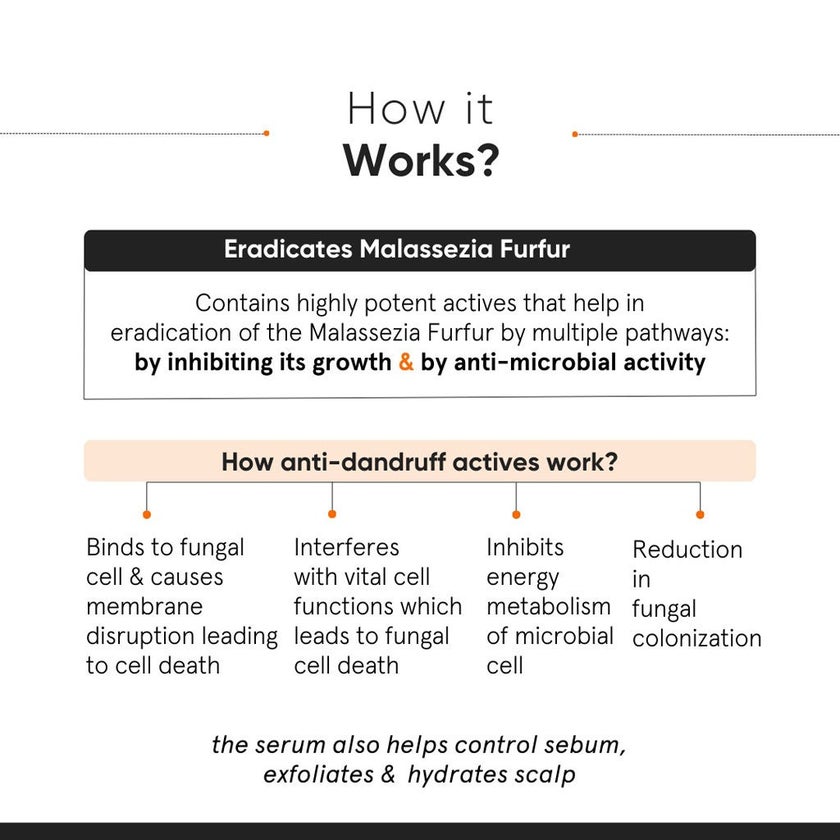 Minimalist 0.8% Oligopeptide Anti Dandruff Hair Serum 50ml