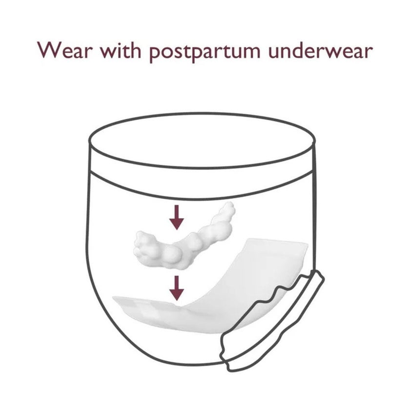 Momcozy Disposable Period Underwear Pack of 2x6's