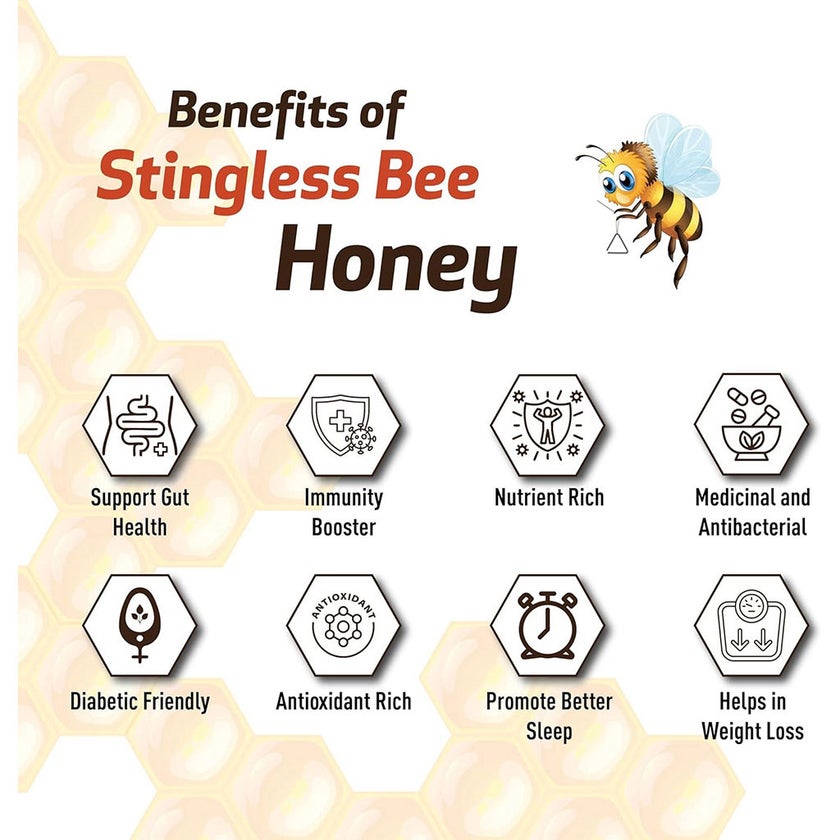 Bayu Kelulut Stingless Bee 100% Pure Honey 100g