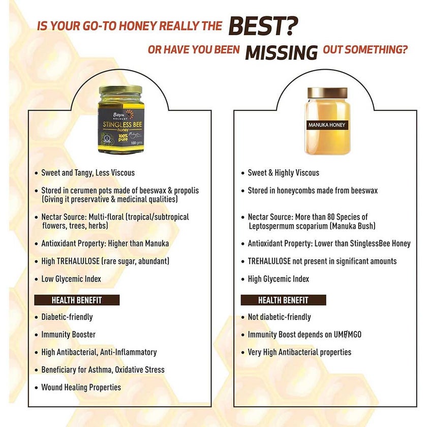 Bayu Kelulut Stingless Bee 100% Pure Honey 100g