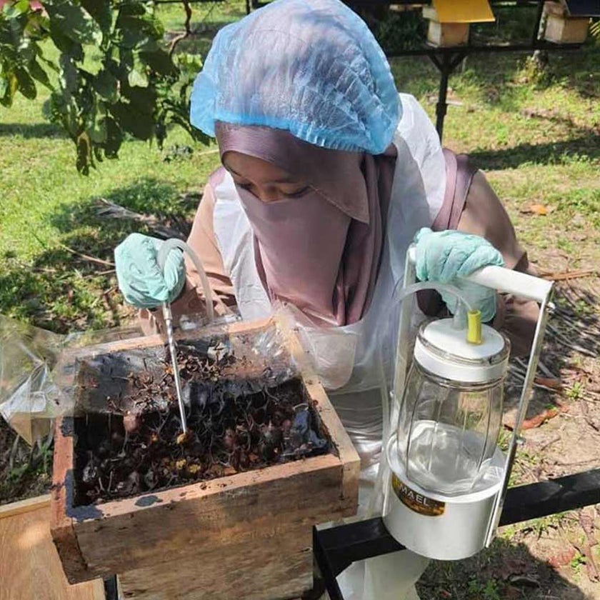 Bayu Kelulut Stingless Bee 100% Pure Honey 700g