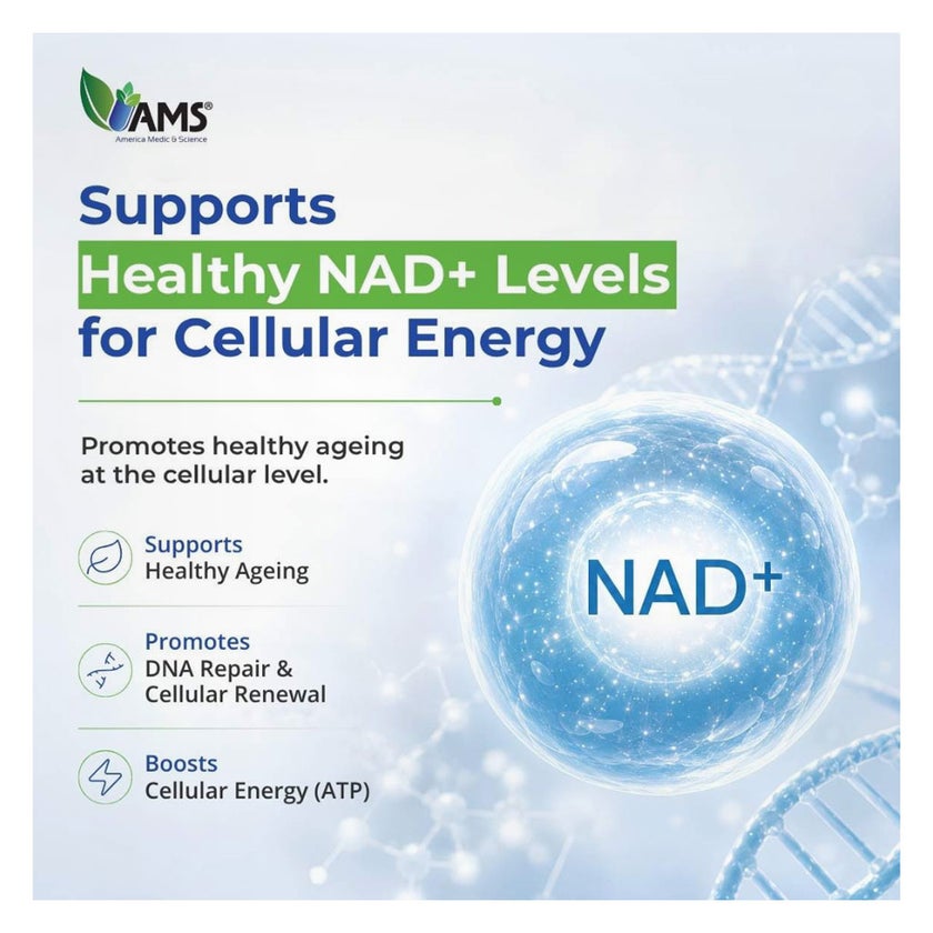 AMS NMNH Revive NAD+ Precursor Capsules, Anti-Aging - 60 Capsules