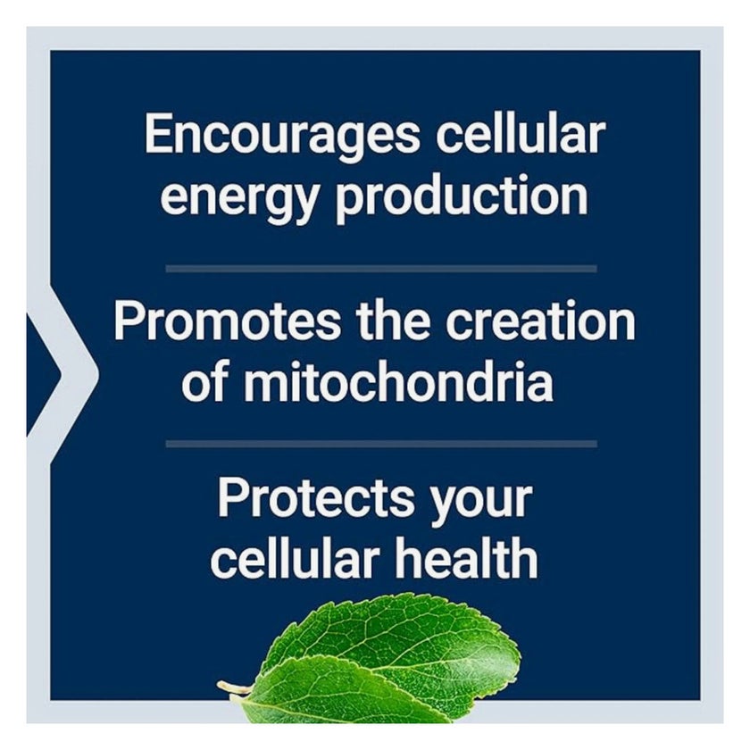 Life Extension Mitochondrial Energy Optimizer, PQQ - 120 Capsules