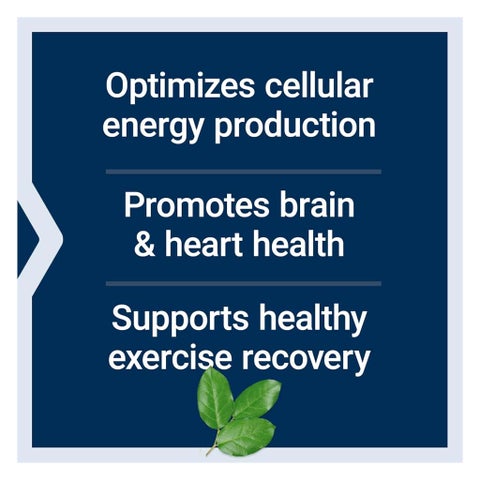 Life Extension Optimized Carnitine Capsules - 60 Capsules