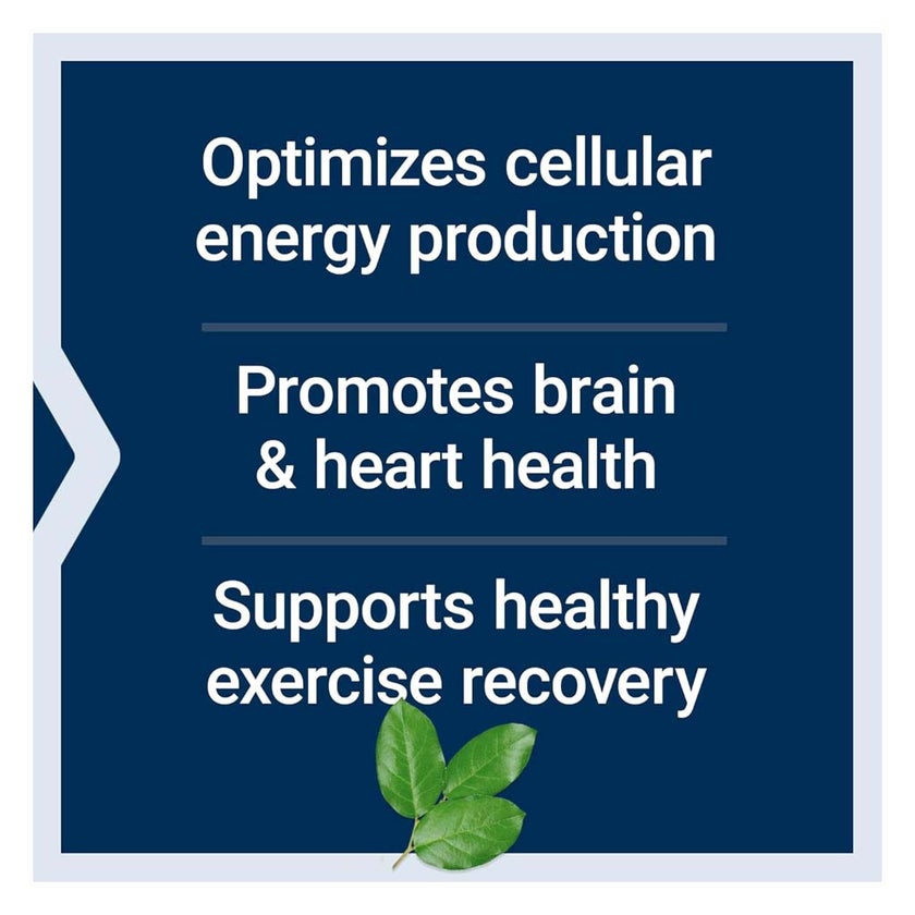 Life Extension Optimized Carnitine Capsules - 60 Capsules