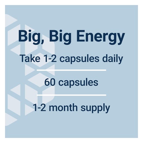 Life Extension Super R-Lipoic Acid 240mg Capsules - 60 Capsules
