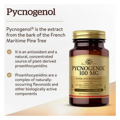 Solgar Pycnogenol 100mg Veg Capsules - 30 Capsules