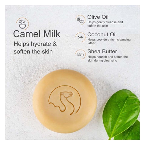 The Camel Soap Factory Camel Milk Face Soap, Unscented - 75g