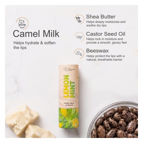 The Camel Soap Factory Camel Lip Balm, Lemon Mint - 6g