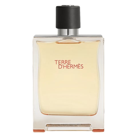 Hermes Terre D'Hermes Men's Eau de Toilette - 200ml
