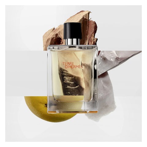 Hermes Terre D'Hermes Men's Eau de Toilette - 200ml