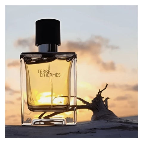 Hermes Terre D'Hermes Men's Eau de Toilette - 200ml
