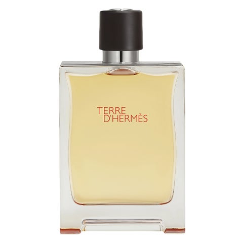 Hermes Terre D'Hermes Men's Eau de Parfum - 200ml