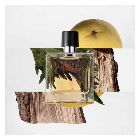 Hermes Terre D'Hermes Men's Eau de Parfum - 200ml