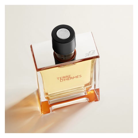 Hermes Terre D'Hermes Men's Eau de Parfum - 200ml