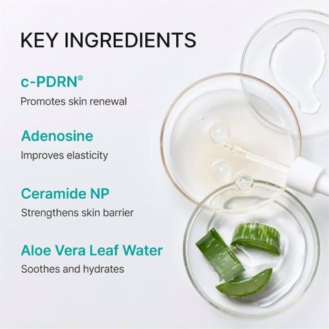 Rejuran C-PDRN Turnover Mask - 5 Sheets