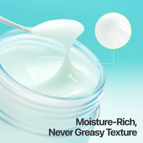 Numbuzin No.1 Pantothenic B5 Active Soothing Cream - 80ml