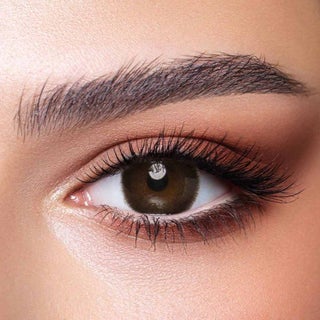 Bella One Day Contact Lenses, Base Curve 8.6, Cedar Color, Pack of 10’s