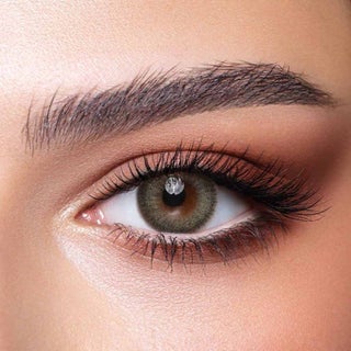 Bella One Day Contact Lenses, Base Curve 8.6, Pine, Pack of 10’s