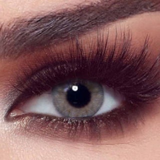 Bella One Day Contact Lenses, Base Curve 8.6, Rosewood Color, Pack of 10’s