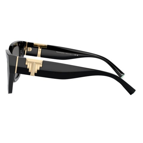 Tiffany Women's Sunglasses, Cat-Eye Shape, Size 55 - TF4218-800181